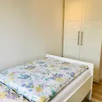 Skowronek Am Kurpark Gluecksburg
